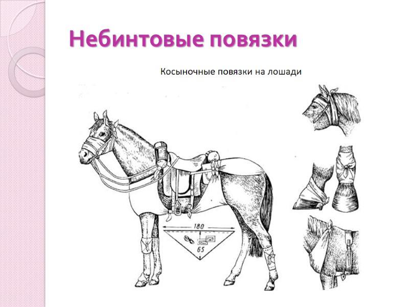 Небинтовые повязки Косыночные повязки на лошади